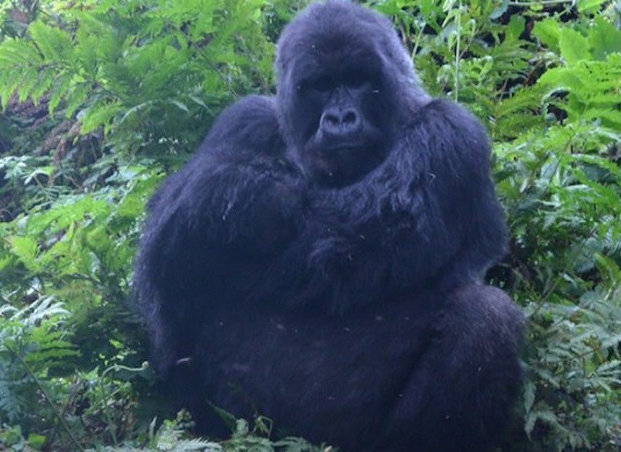 Rwanda is Nothing Like You Think it is!