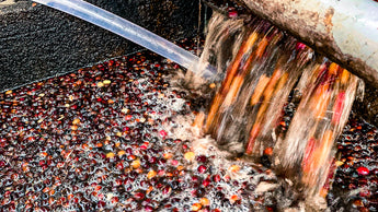 The Science of Coffee: Processing Methods