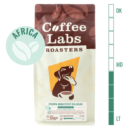 Ethiopia Abana Estate Sulladjah