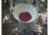 Decaf Colombia Royal Select