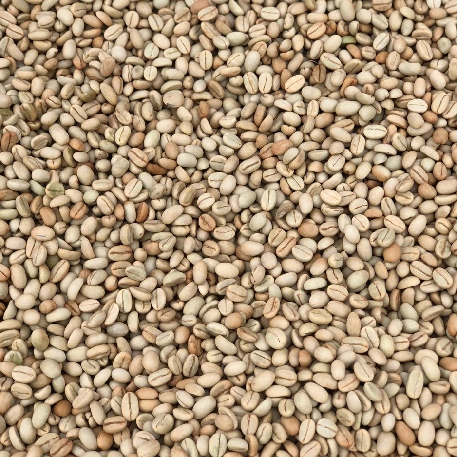 Ethiopia Abana Estate Sulladjah
