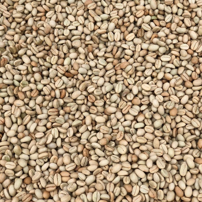 Ethiopia Abana Estate Sulladjah
